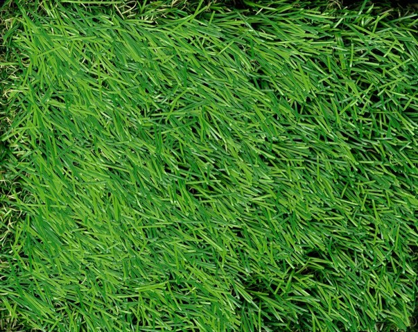 Luxury Grass Carpet - 404A Natural Green